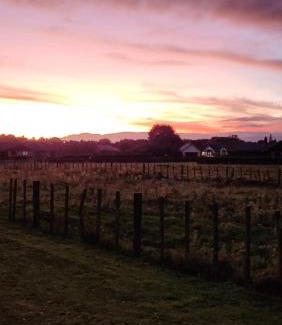 Tamahere Casa | Aberdeen Cottage with Hobbit House sleep-out