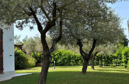 Borghetto-melara Apartamento | Abitatt
