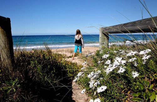 Mollymook Beach Casa | Absolute Beachfront Mollymook