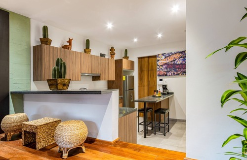 Roma Norte Apartamento | AC/ 3 Terraces Oasis / 3 BR Stunning Lux Apartment