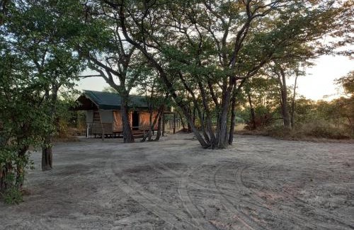 Maun Otro | Acacia Camp