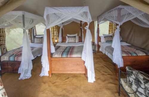 Sinoni Otro | Acacia Migration Camp Ndutu