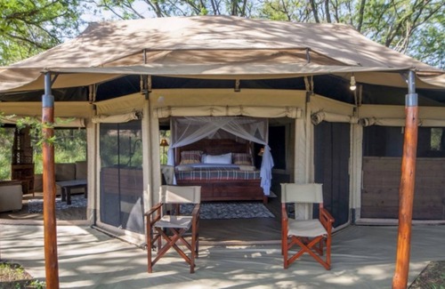 Seronera Otro | Acacia Seronera Luxury Camp