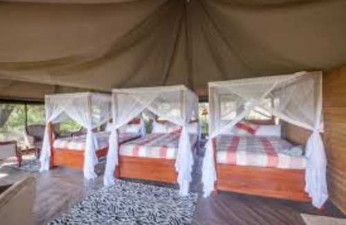 Seronera Otro | Acacia Seronera Luxury Camp