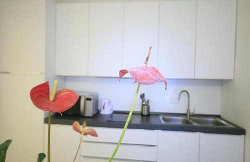 Citta Alta Apartamento | Academia Residence