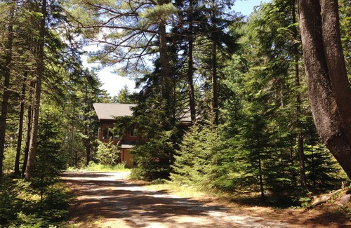 Mount Desert Cabina | Cabaña Acadia en 2 acres arbolados aislados cerca de Bar Harbor