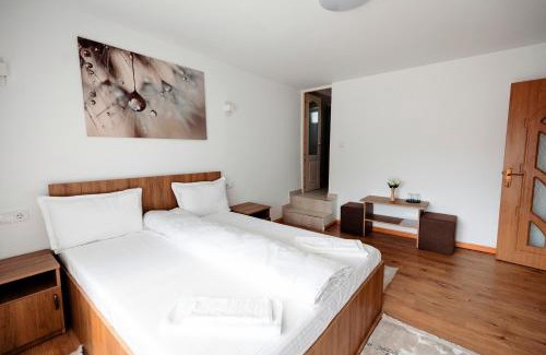 Sighetu Marmatiei Casa | Acasa La Lumei
