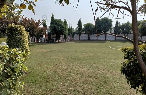 Gurugram Otro | Achal's जंगल में मंगल