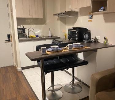 Valdivia Apartamento | Acogedor Apartamento Valdiviano