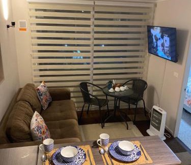 Valdivia Apartamento | Acogedor Apartamento Valdiviano