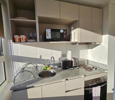 Concepcion Apartamento | Acogedor Departamento Estudio