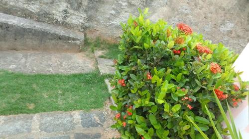 Curicica Apartamento | Acomodação Praia da Barra
