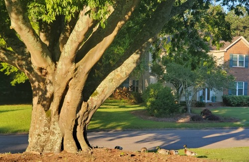 Aiken Casa | Acreage with pool in town