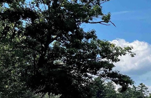 Lochmere Casa | Across from Lake Winnisquam/Close to Gunstock