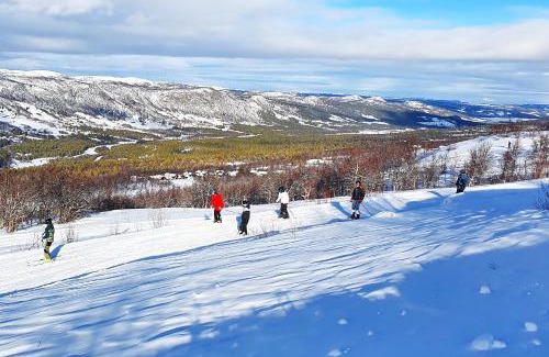 Al Municipality Apartamento | Active Adventure Base - Apartment & Lavvo, Dagali Fjellpark