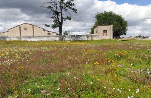 San Sebastian Villa | Foro Cultural Aculco