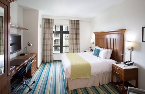Winter Park Hotel | ADA Compliant Room - Contemporary Furnishings - Rooftop Pool - Close to Parks