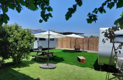 Eliad Otro | Adam's Farm