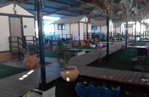 Eliad Otro | Adam's Farm