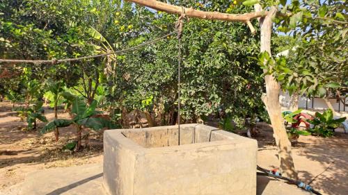 West Coast Division Casa | Adama Jarju's Horticultural Garden