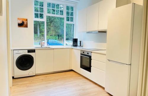 Aalborg Apartamento | aday - Aalborg mansion - Big apartment with garden