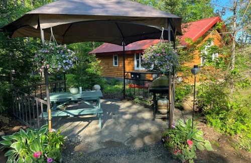 Arietta Casa | Adirondack Trailside Cabin