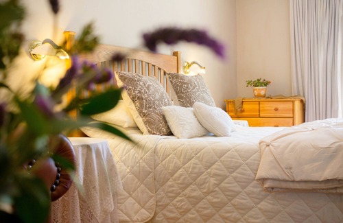 Oudtshoorn Casa | Adley House Guesthouse