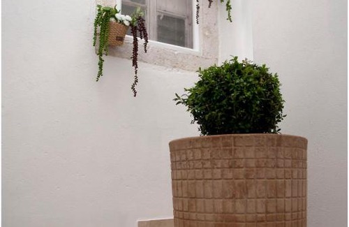 Kali Apartamento | Admiral