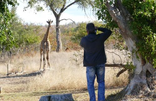 Phalaborwa Casa | Adonsonia Lodge