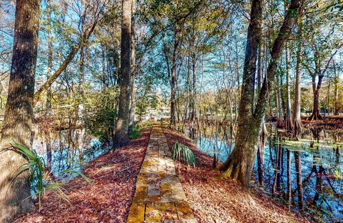 Bushnell Cabina | Adorable A-Frame with Riverfront Yard, Fishing Pier, & Firepit