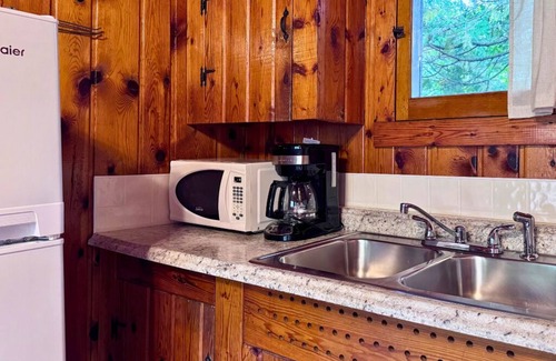 Trout Lake Cabina | Adorable Cabin #4 at Twin Cedars Resort in Trout Lake, MI with row boat and AC
