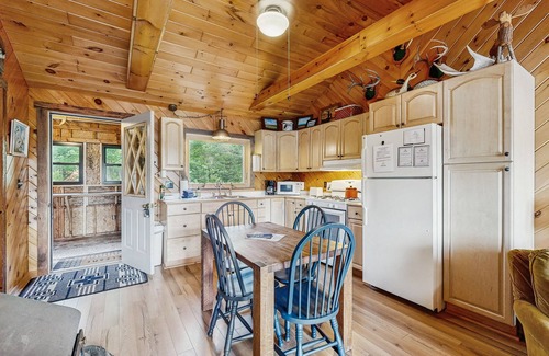 Greenville Cabina | Adorable Cottage on the Lake W/ Shared Dock, Full Kitchen, Firepit, & Hiking