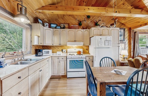 Greenville Cabina | Adorable Cottage on the Lake W/ Shared Dock, Full Kitchen, Firepit, & Hiking