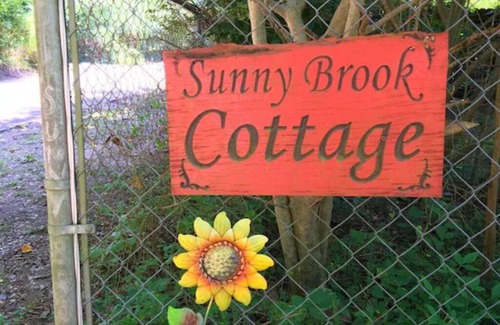 Mena Casa | Adorable tiny house, private, wooded view, stream, edge of national forest, near Wolf Pen