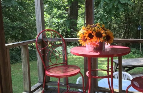 Mena Casa | Adorable tiny house, private, wooded view, stream, edge of national forest, near Wolf Pen