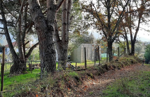 Casal de Ermio Cabina | Adore Portugal Bungalow