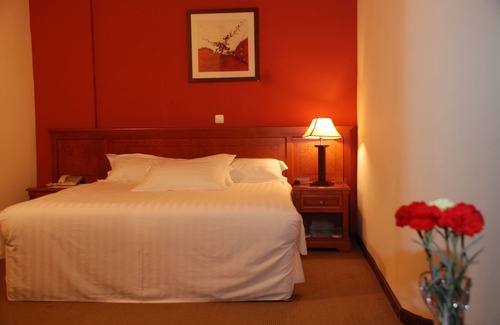 Kirkos Hotel | Adot Tina Hotel