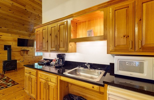 Northport Apartamento | Adventure ready studio cabin with wooded views, fireplace, & AC