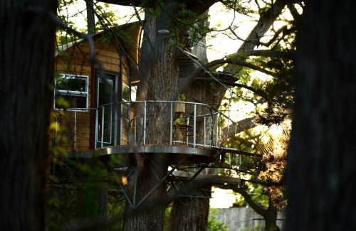 Spicewood Casa | Adventures Await at this Stunning Tree House Retreat in Texas