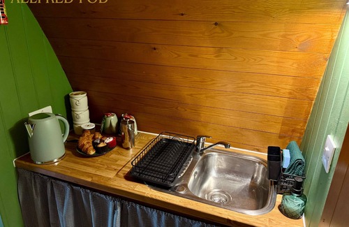 West Stow Cabina | Aelfred Pod - in a calm woodland setting- ready for glamping?