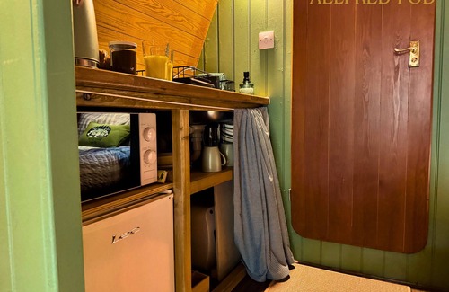 West Stow Cabina | Aelfred Pod - in a calm woodland setting- ready for glamping?