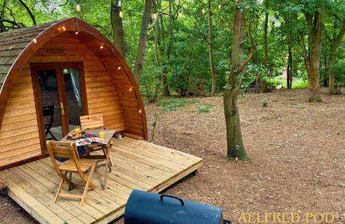 West Stow Cabina | Aelfred Pod - in a calm woodland setting- ready for glamping?