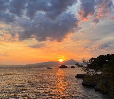 Maratea Casa | Affittacamere L’ Agrumeto