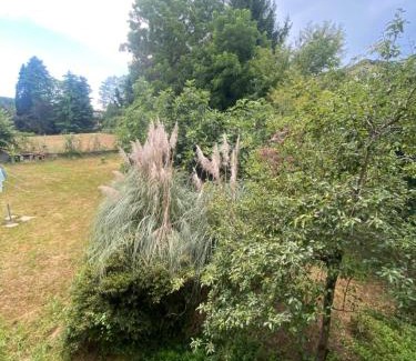 Arona Casa | Affittacamere La Quiete