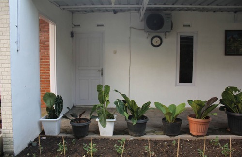 Kalasan Casa | Garden Guesthouse asequible