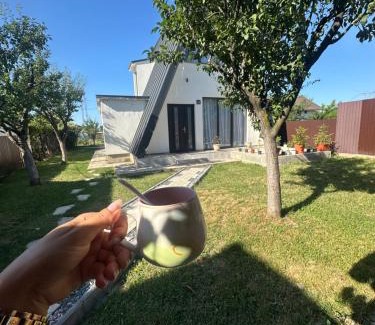 Baia de Fier Chalet De Esquí | Aframe -Melissa