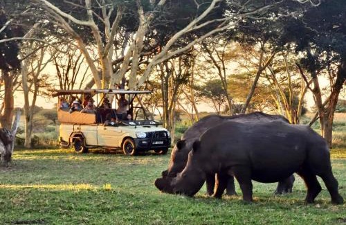 Hluhluwe Cabina | AfriCamps at Bonamanzi Game Reserve