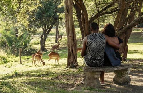 Hluhluwe Cabina | AfriCamps at Bonamanzi Game Reserve