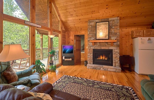Sevierville Villa | African Safari by Vtrips
