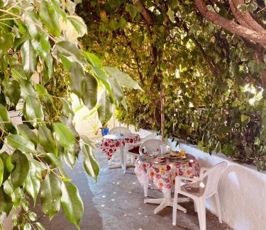 Archangelos Casa | Afroditi Pension